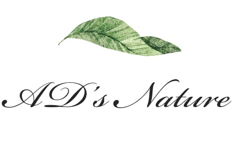 ADs Nature-